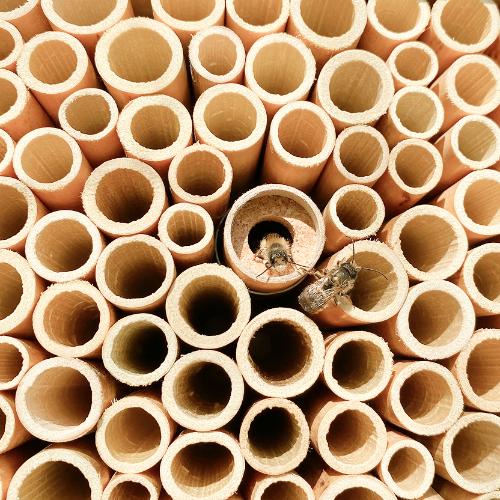 Oasi della biodiversità